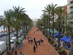 Plaza del ajuntamiento